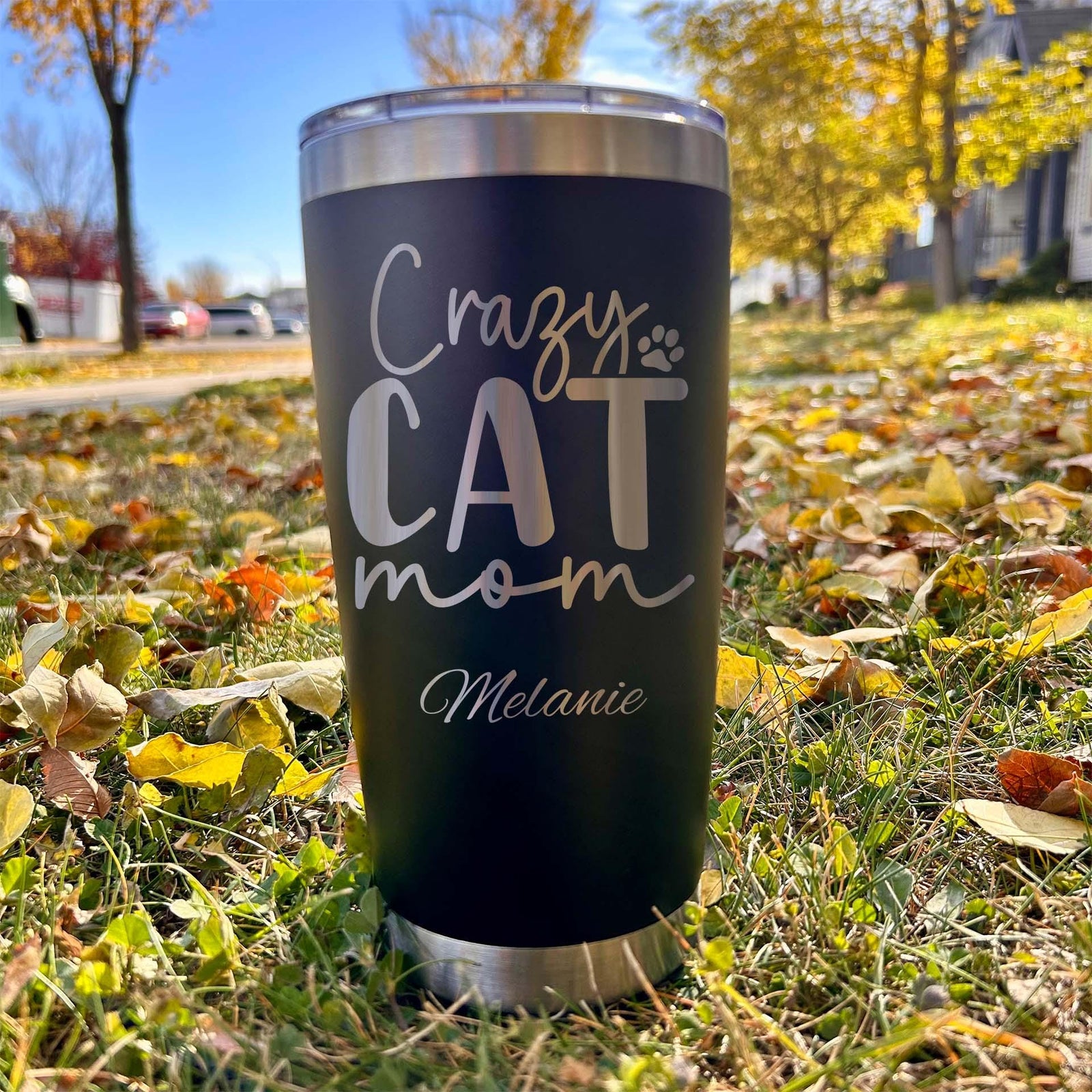 Cat Mom 20oz Engraved Tumbler – Stainless Steel, Saying #76